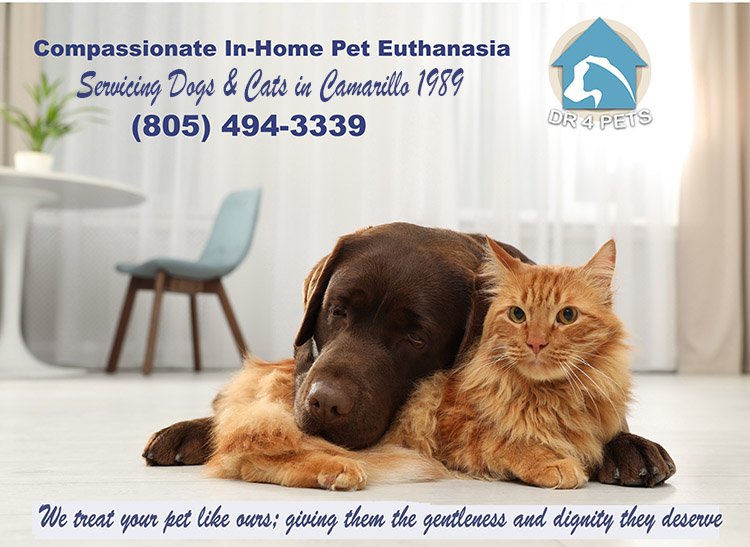 Camarillo-at home cat euthanasia