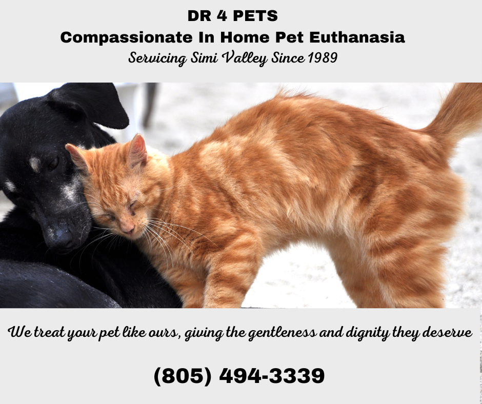 DR 4 PETS Simi Valley 