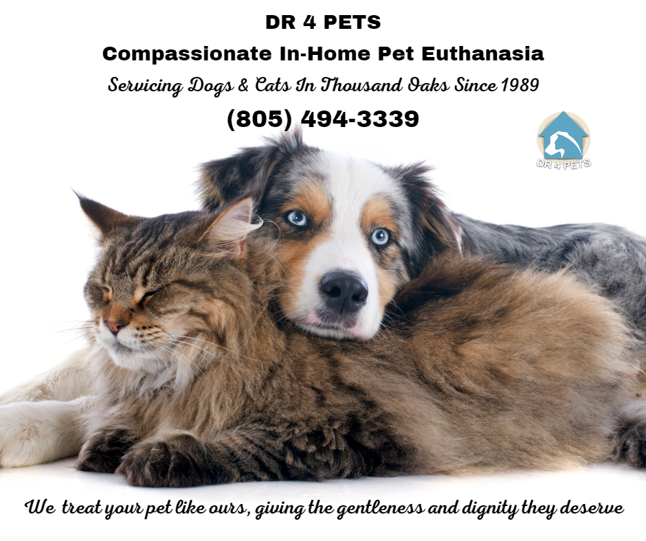 DR 4 PETS Thousand Oaks Pet Euthanasia