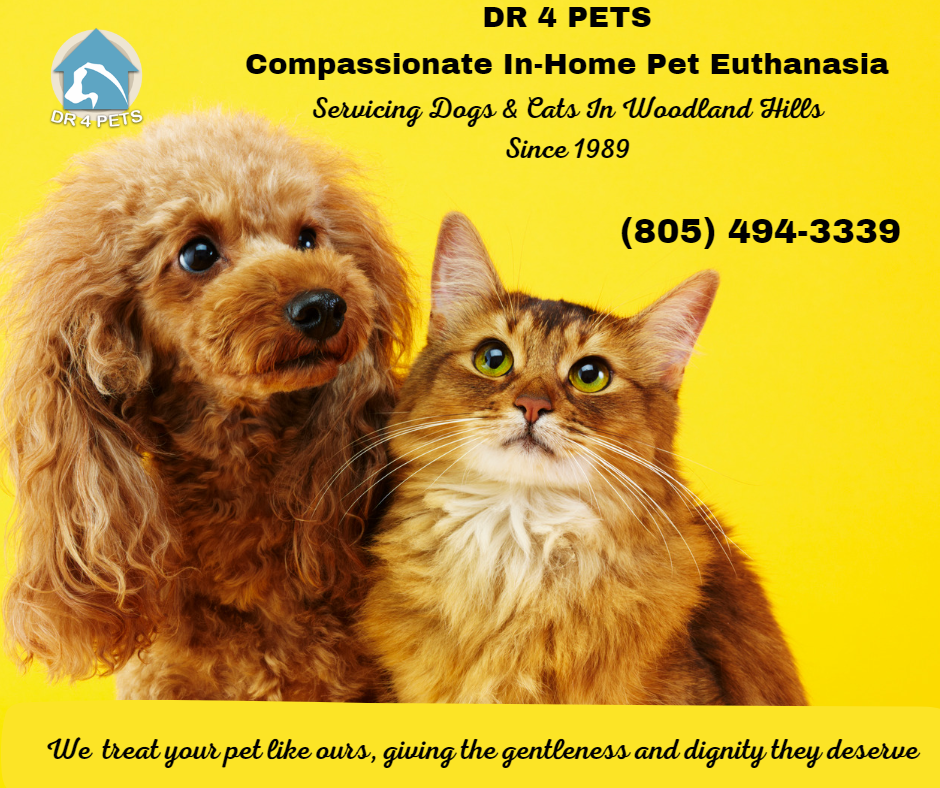 DR 4 PETS Woodland Hills Pet Euthanasia