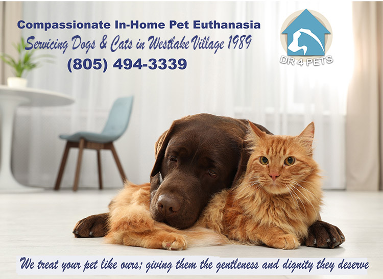 Westlake Village-euthanize pet at home